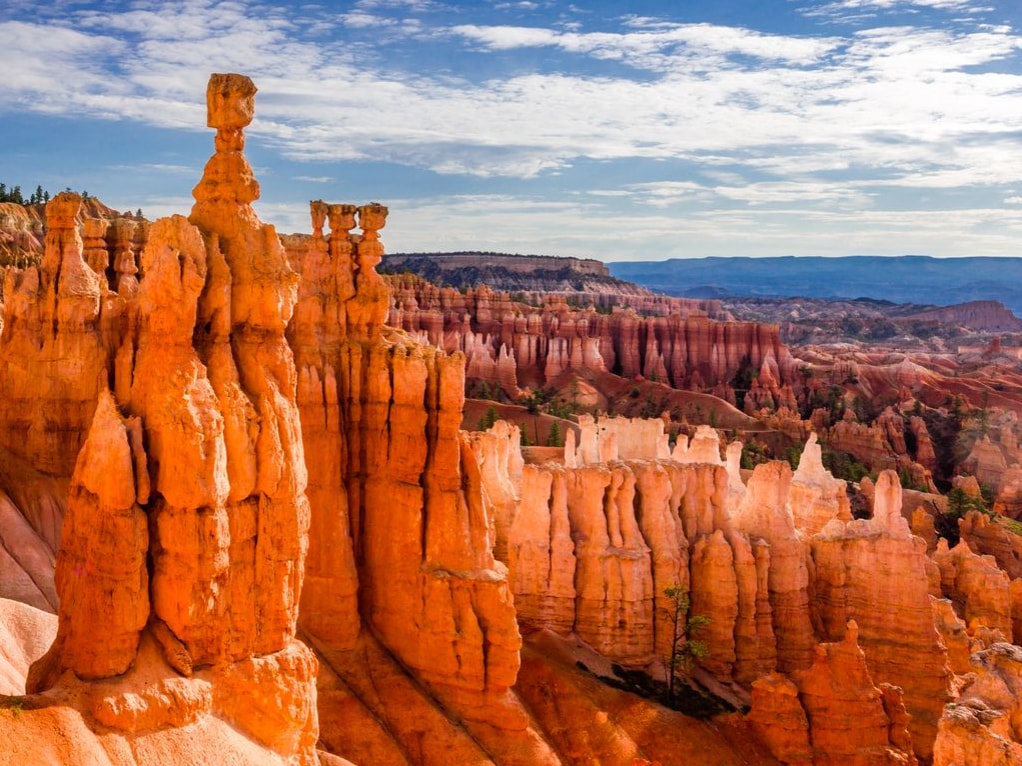 The image captures a striking view of Bryce Canyon's unique rock formations, characterized by vibrant orange and red hues. Towering spires extend into the sky, showcasing the intricate natural architecture of the landscape, with distant canyons and sky blending in the background.