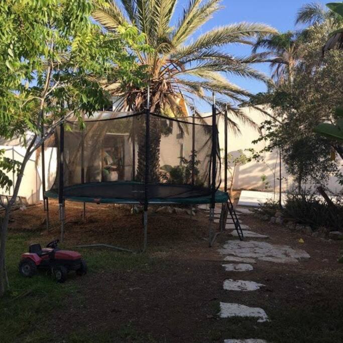 back yard
