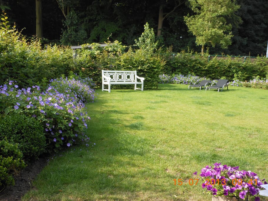 tuin