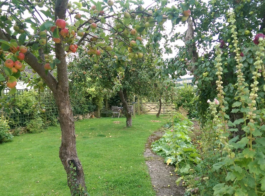 garden path