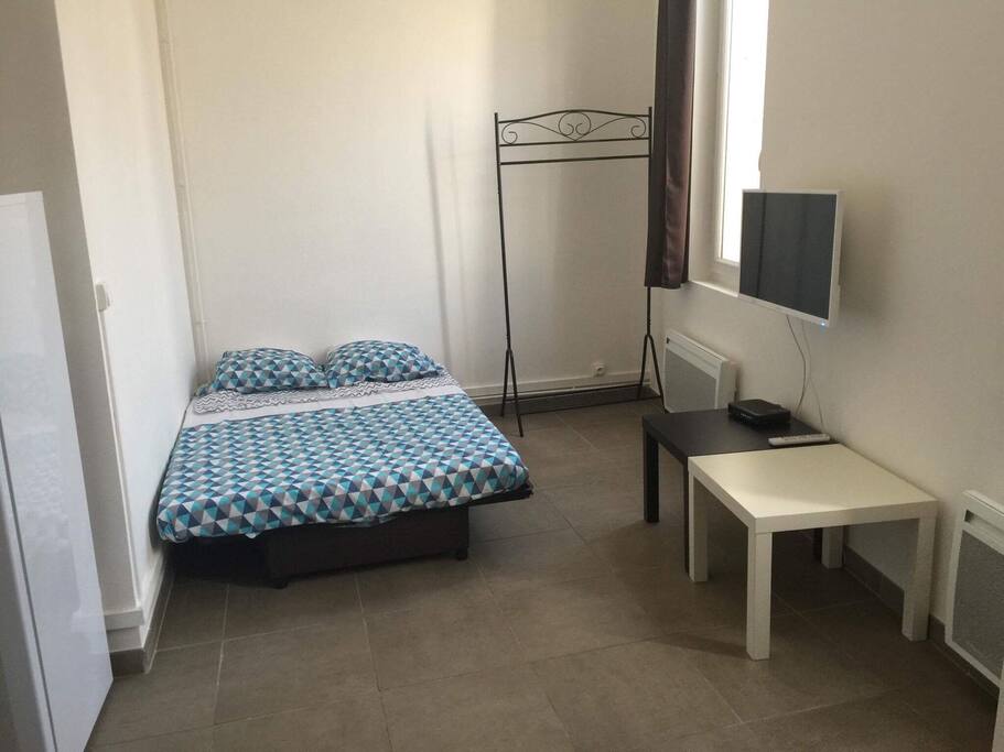 Salon avec lit ( living-room with bed )