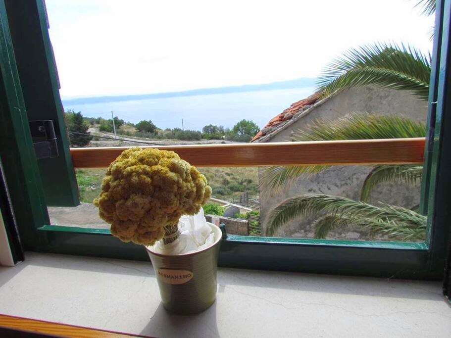 room view
