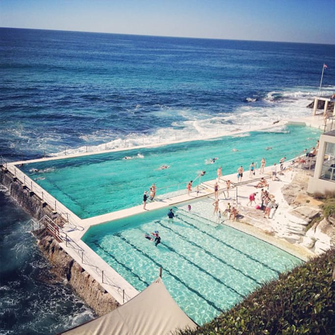 Photo of Bondi Icebergs POOL
