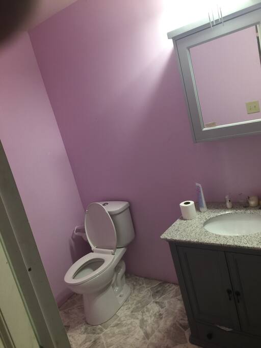 This is the bathroom on the main floor of the house