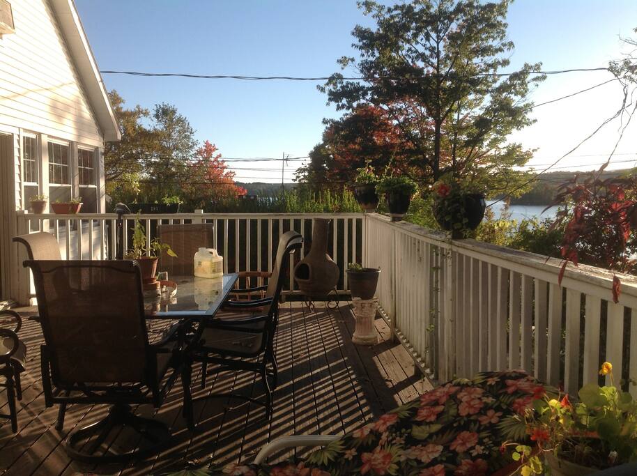 Back deck/ shared space