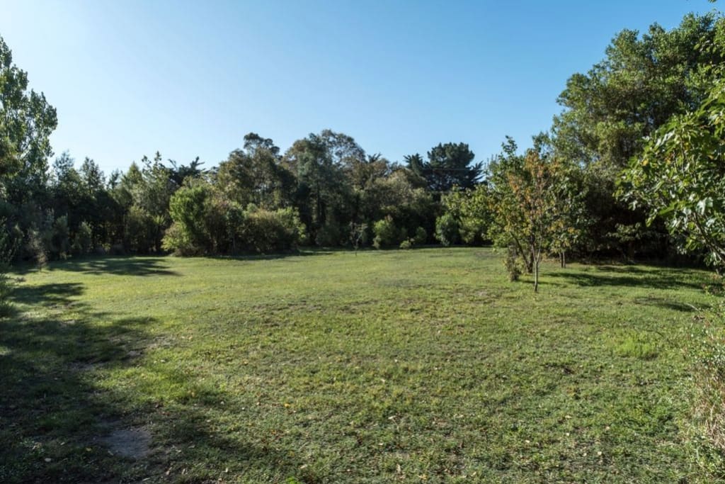 Front Lawn