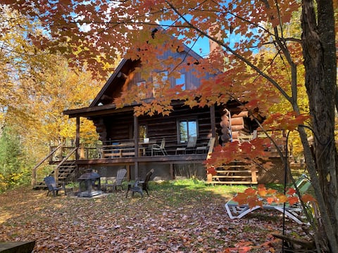 Dreamy Log Cabin on the Lake Magnificence Fall