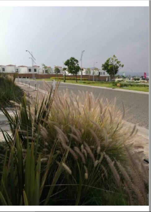 Vista area comun