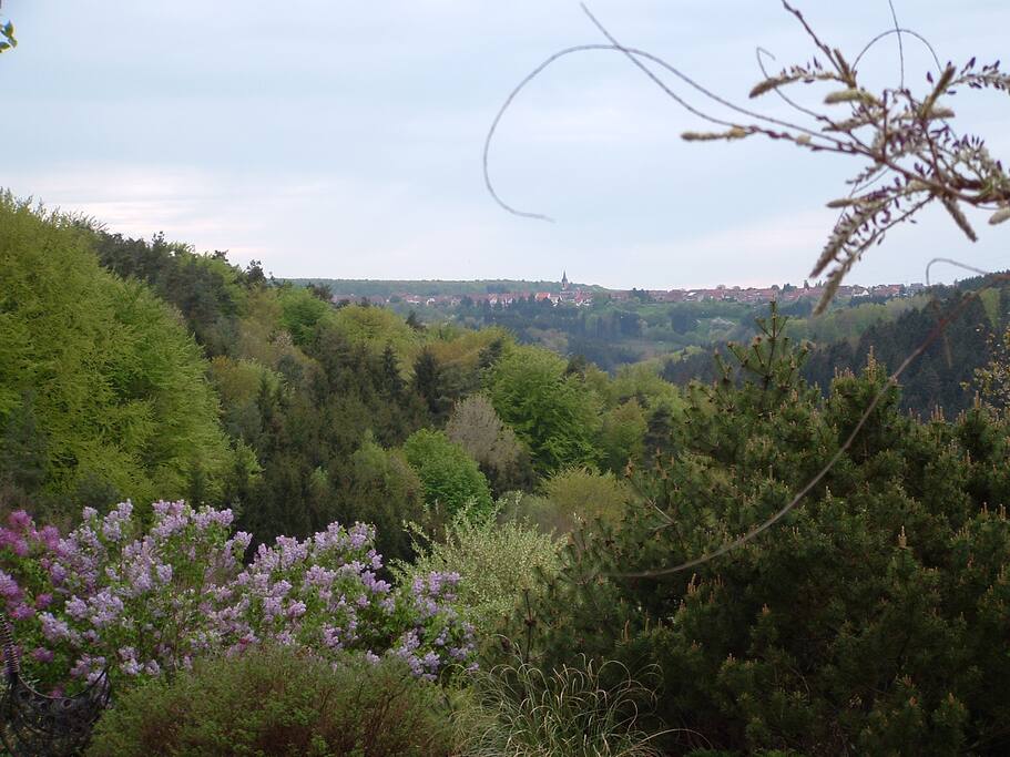 Vue depuis la cuisine