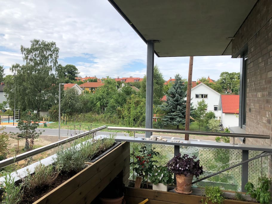 View from the balcony