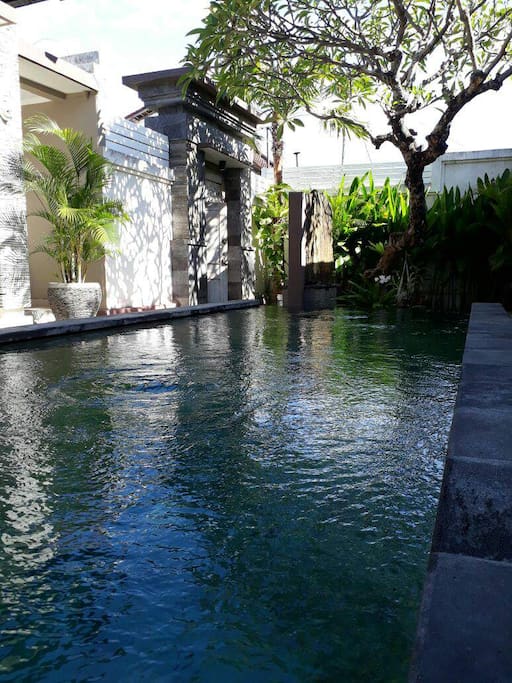 Tranquil Pool