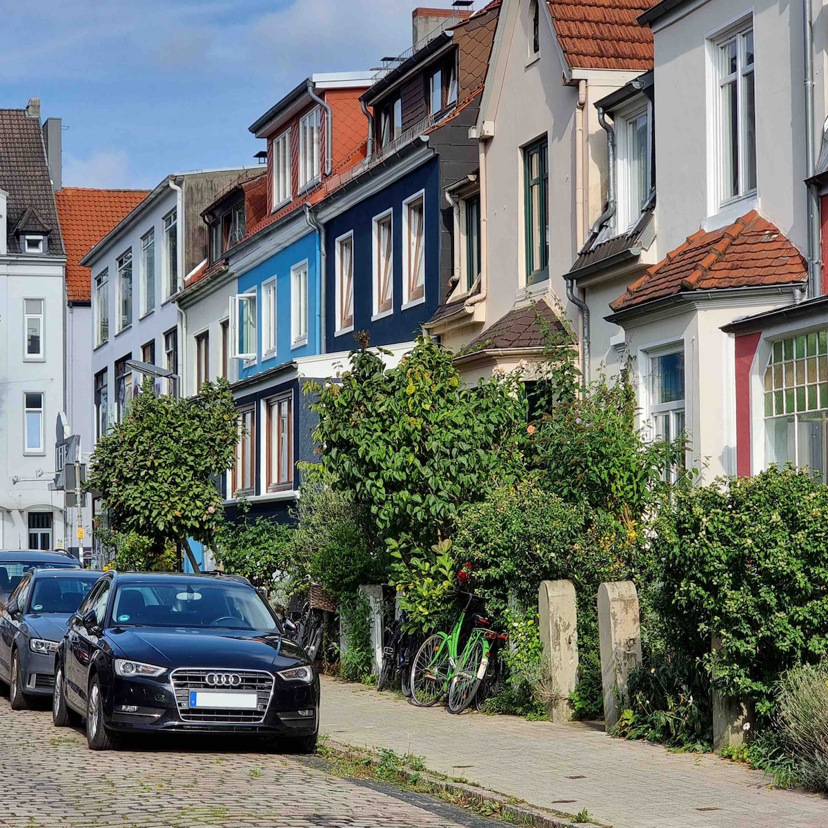 A row of colorful residential buildings is seen along a tree-lined street. Various shades of blue, red, and beige characterize the facades. Parked vehicles, including a black car, and bicycles are situated alongside lush greenery and decorative plants, contributing to the neighborhood's charm.