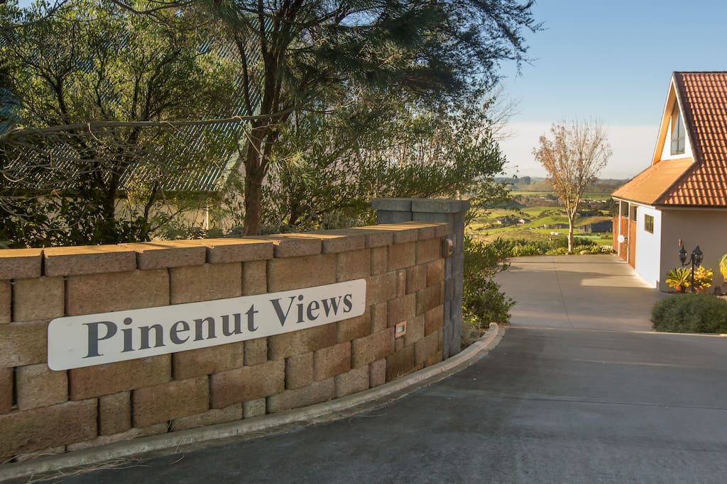 Welcome to Pinenut Views!