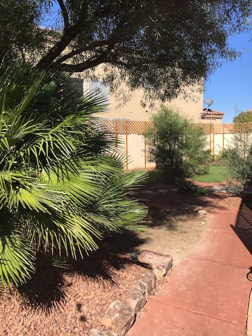 Our huge backyard