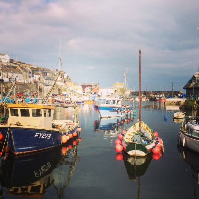 Picturesque working fish village