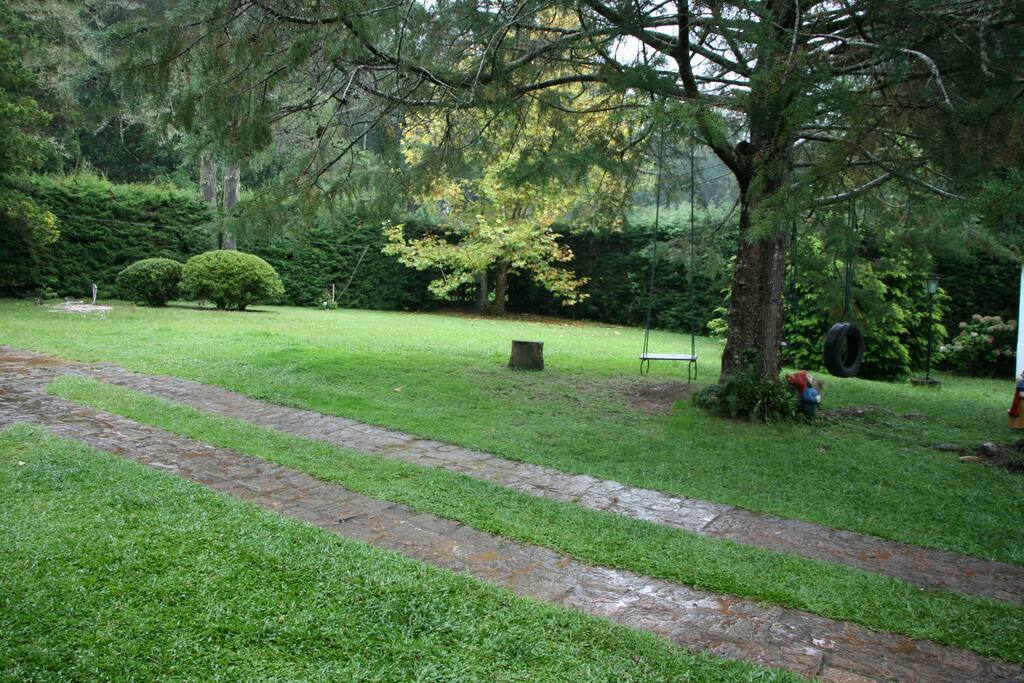 Gramado lindo em frente da casa!
