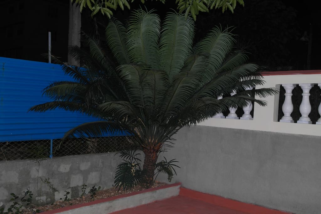 Terraza entrada