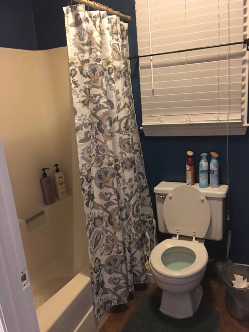 Shared bathroom