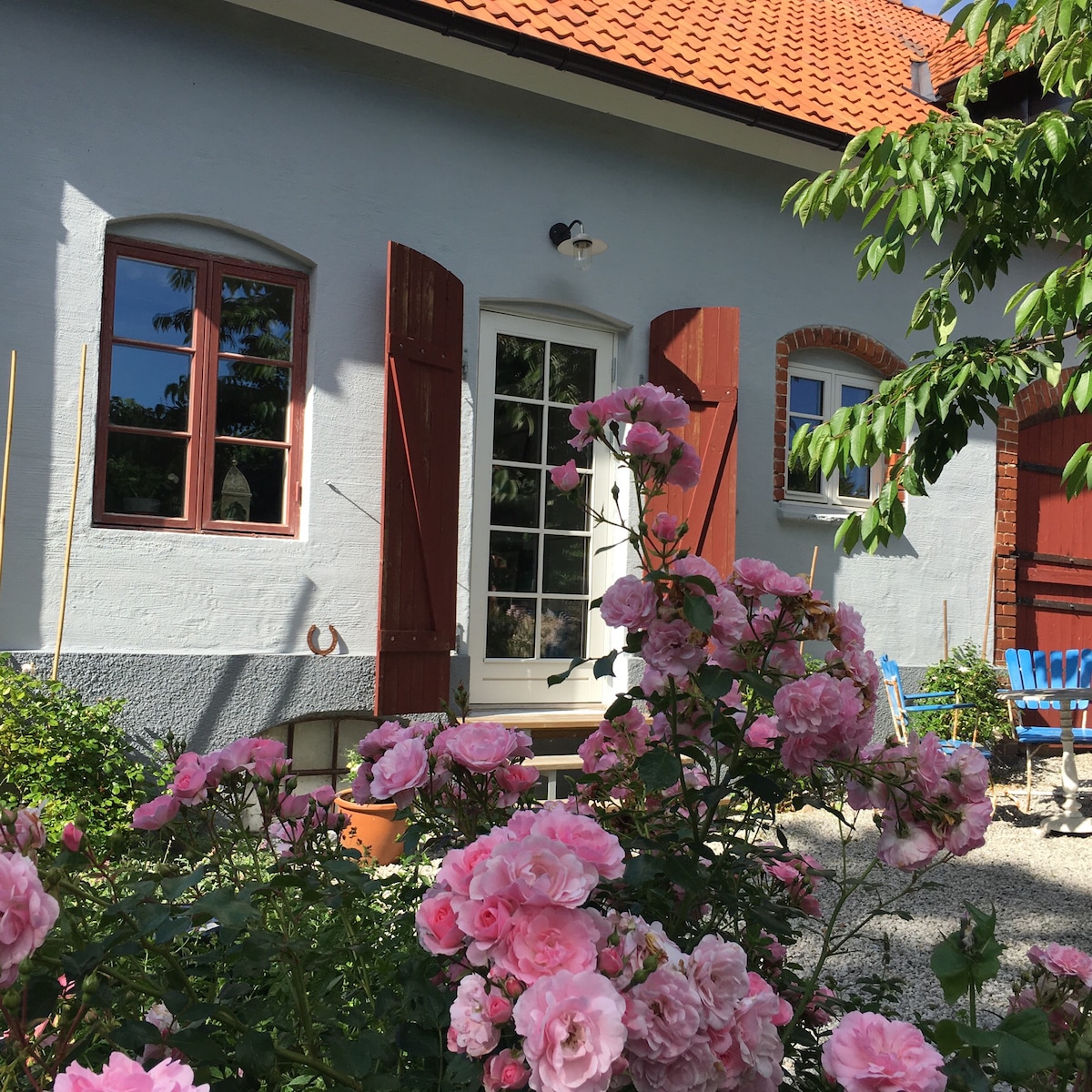 A charming entrance to the apartment is framed by vibrant pink roses and greenery. The light blue walls are complemented by red shutters and windows. A pathway leads to a glass-paneled door, enhancing the inviting outdoor space.