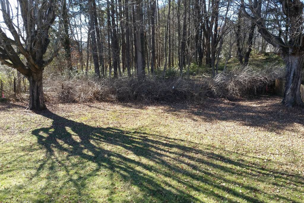 Spacious yard. Fence or hedge surrounding.