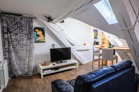 Top performing Airbnb: Hypercenter & ultra quiet, 2 steps from everything! in Annecy