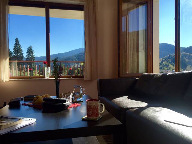 New, sunny with amazing view