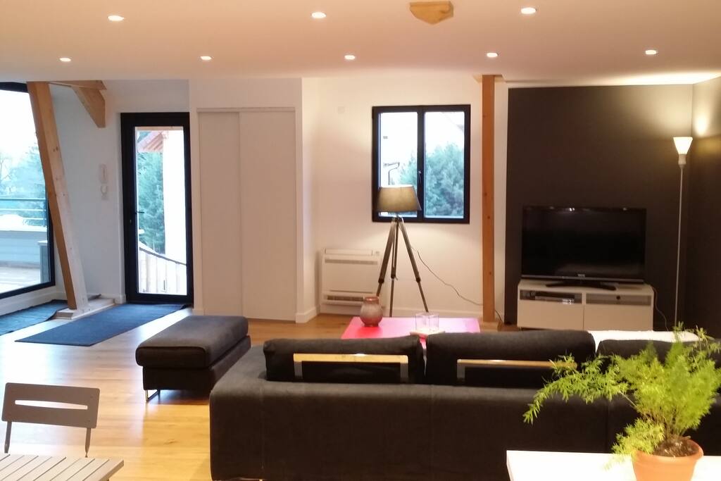 Salon et espace télévision