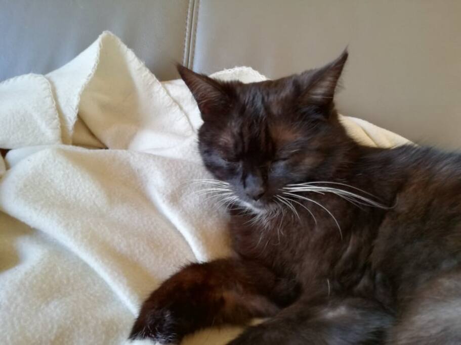 Our Katja