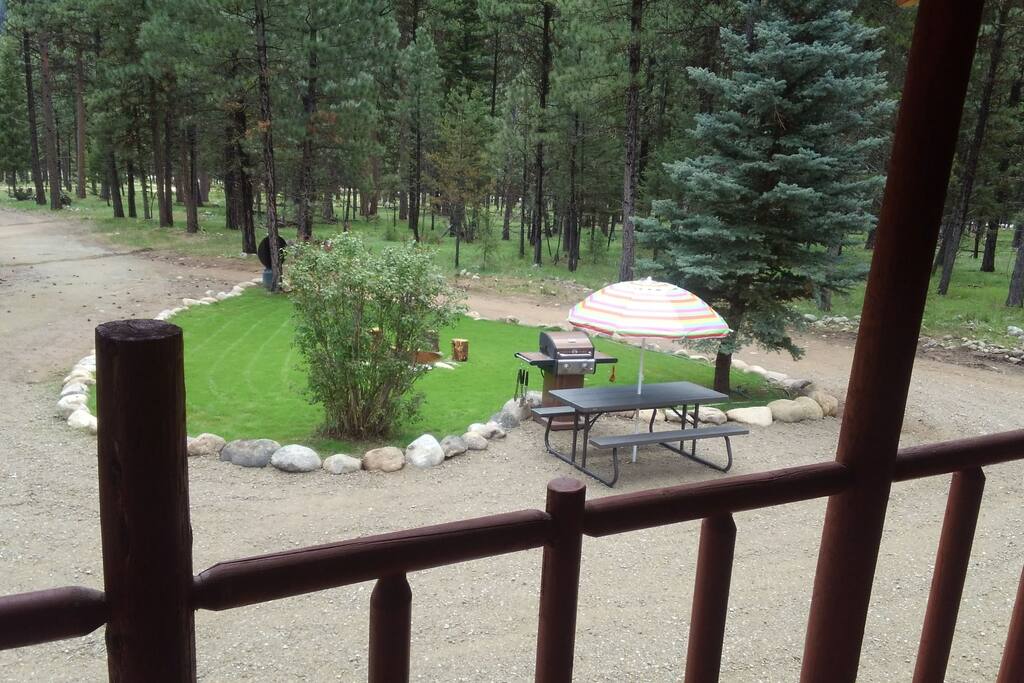 Outdoor grill and picnic table