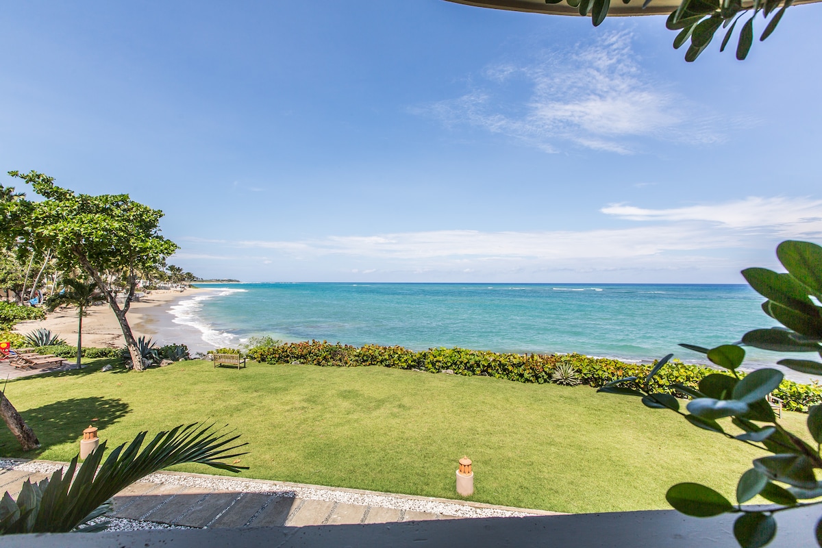 A panoramic view of the ocean is captured from the property, showcasing a lush green lawn leading to the sandy beach. The clear blue waters gently meet the shoreline under a bright sky, inviting relaxation and tranquility.