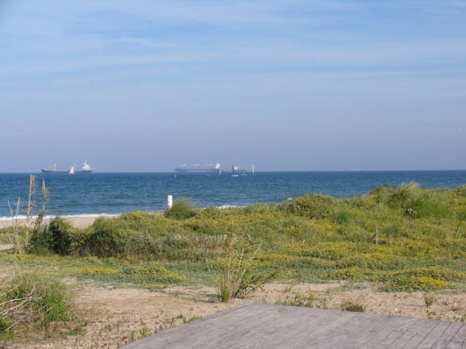 Strand von Pinedo