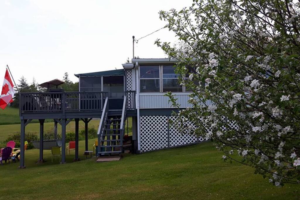 View of Back Deck and Screened in Room with Wicker Furniture.