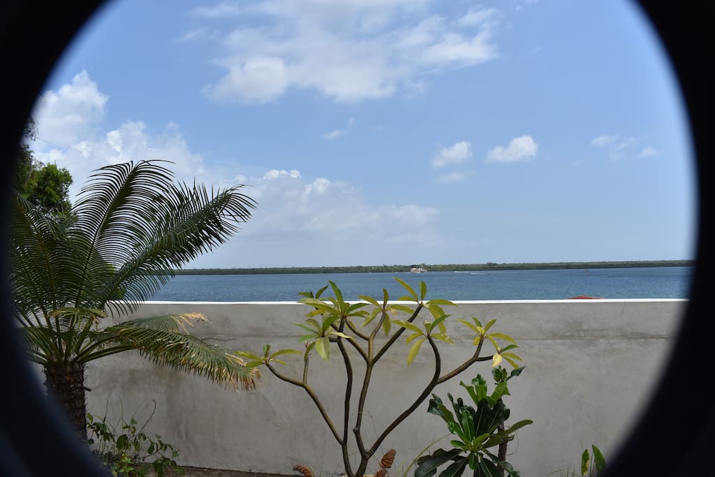 View from rooftop