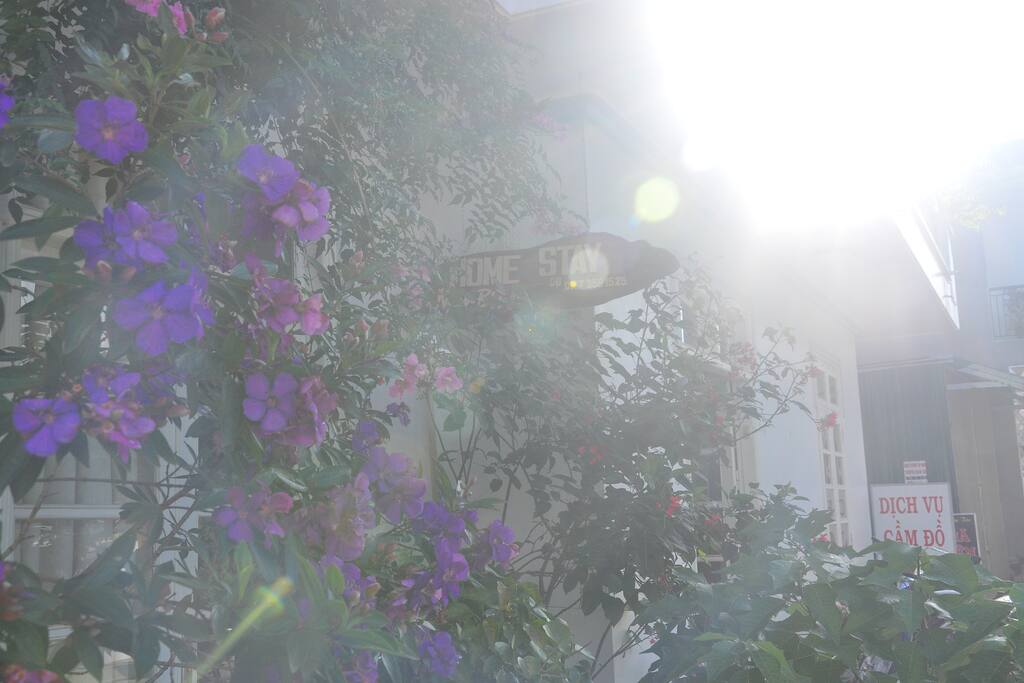 sunny day