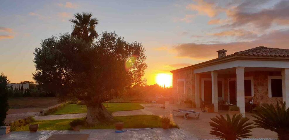 Entire home with 3 bedrooms in Santanyi - Chalet es pinaret gran, con piscina