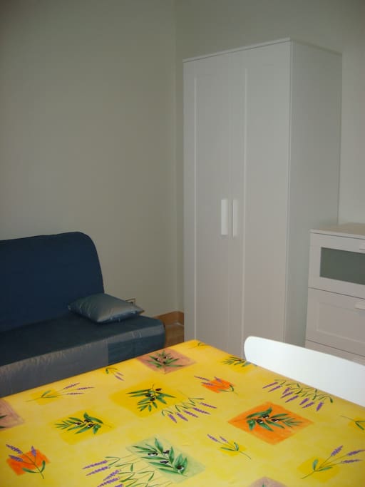 Pièce à vivre - canapé BZ ( lit de 2 personnes ouvert) - penderie - commode