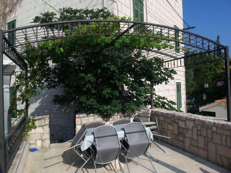 terrace