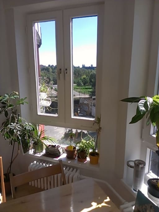 view from the kitchen (direction Mauerpark)