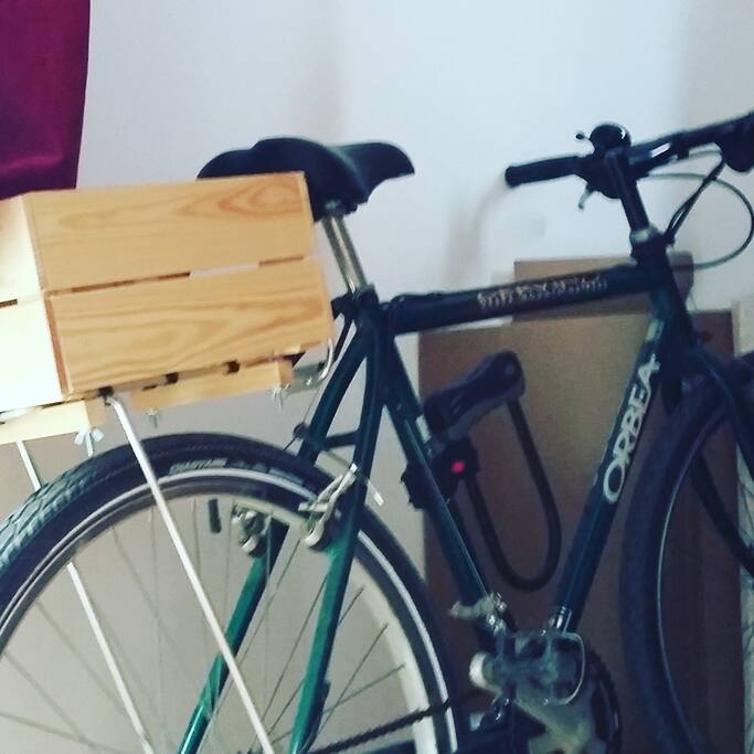 hall - bicicleta