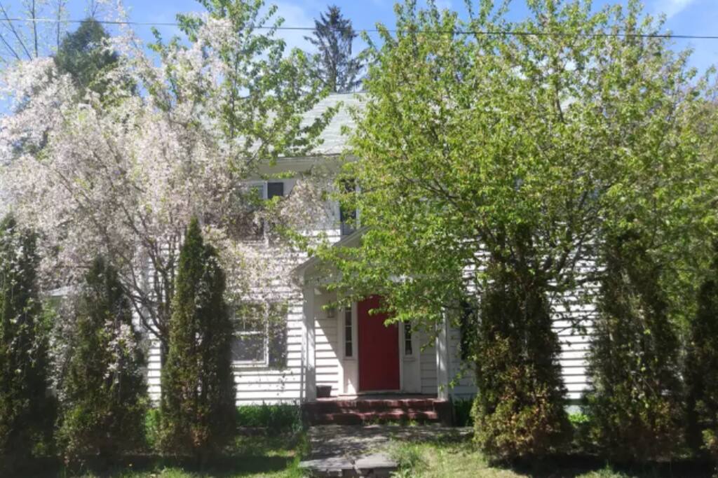 Welcome to Phoenicia's Village House!
