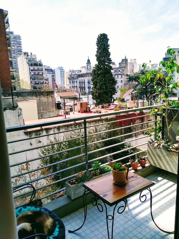 . – изображение 1