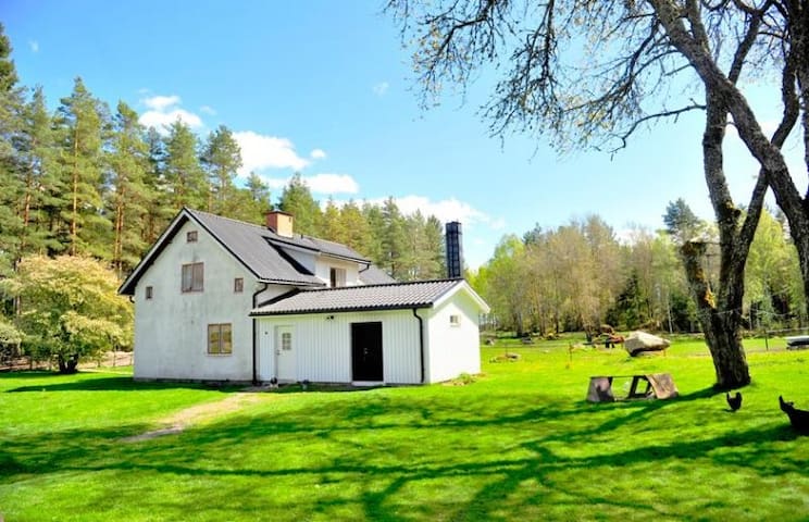 The authentic Sweden at a horsefarm