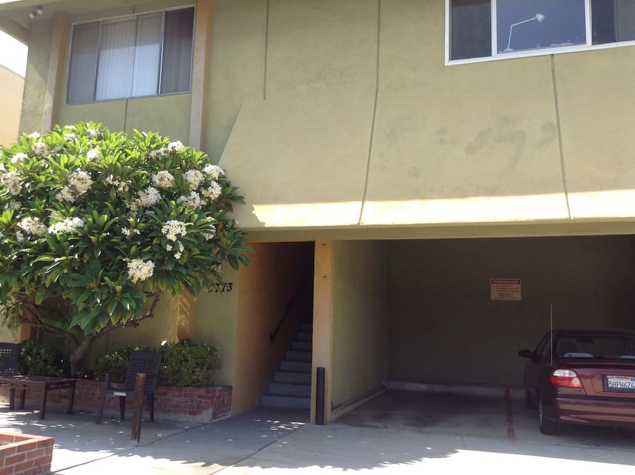 Front of Building. Your parking spot is where the burgundy car is.
