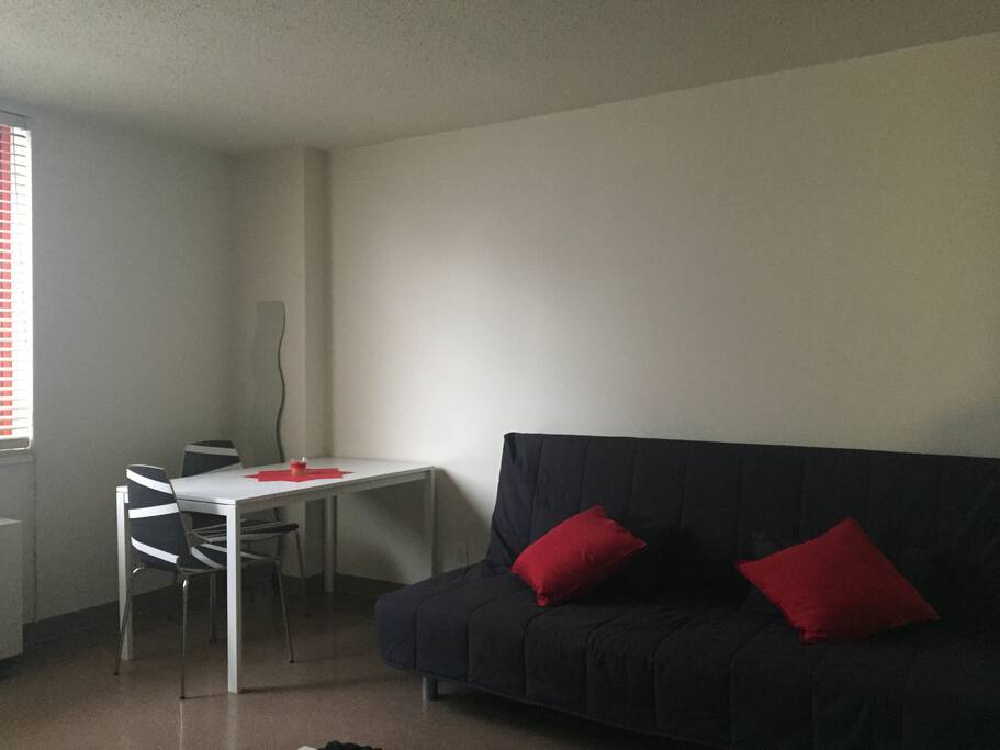 Full size sofa bed