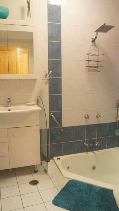 Jacuzzi tub in the downstairs bathroom