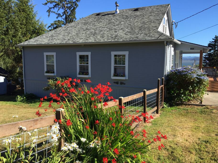 Front yard