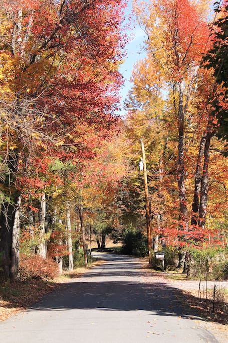 Our lane - one of the prettiest in Woodstock