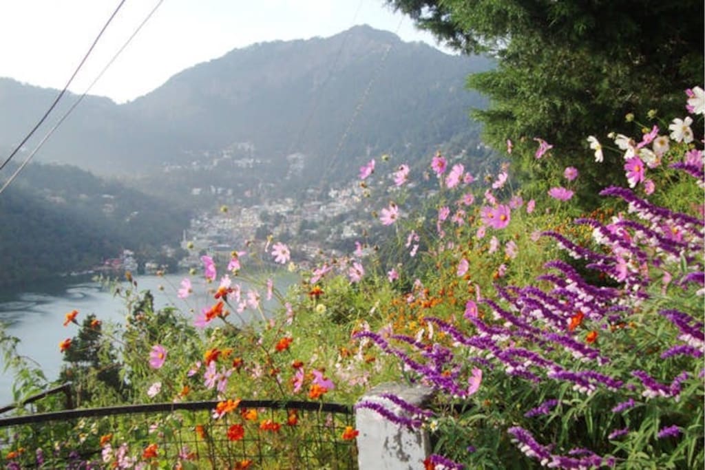 Lake view from garden area