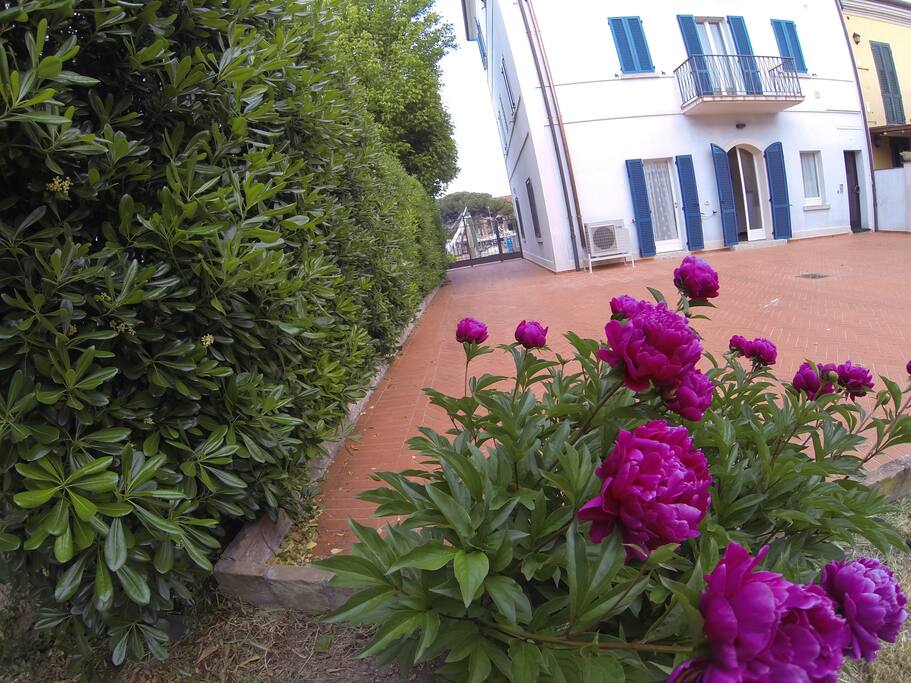 corte con giardino per mangiare giocare rilassarsi