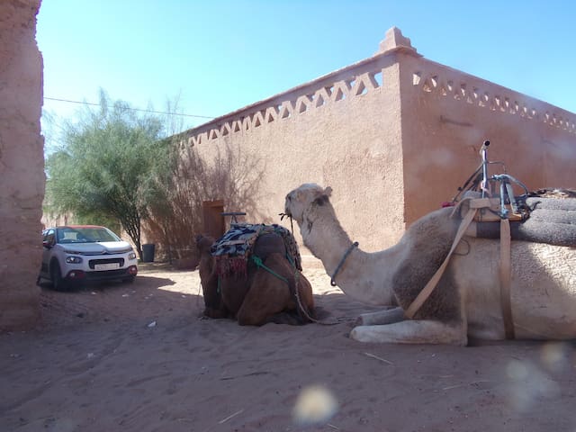 Airbnb Mhamid Vacation Rentals Places To Stay Drâa